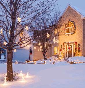 snow-covered house and tree