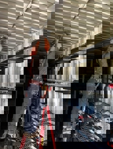 electrician  installs lighting